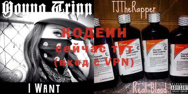 герыч Няндома